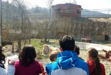 Excursie La Gradina Zoologica 3