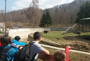 Excursie La Gradina Zoologica 4