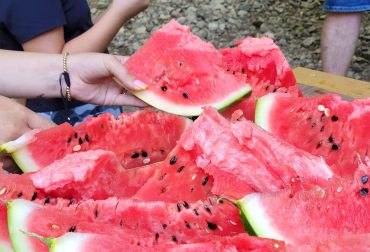 Pofta De Ceva Proaspat Picnic