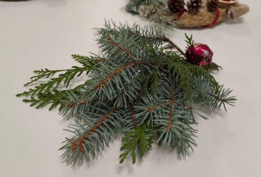 C1b46fed 6e55 440c 9902 19824d5f5951